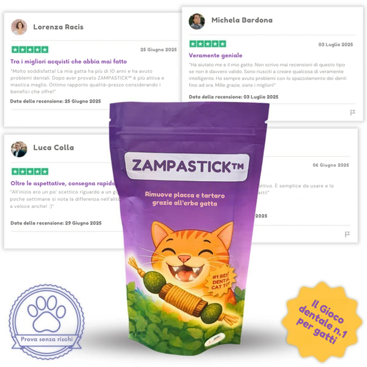 ZampaStick™ - il bastoncino che pulisce i denti mentre il tuo gatto gioca